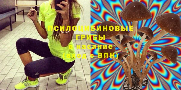 2c-b Покачи